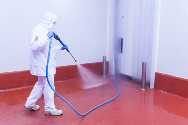 Best Rust Removal  in Oneida, NY